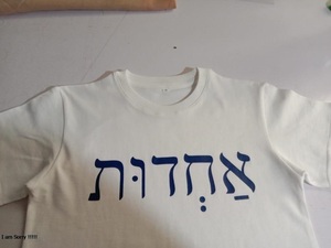 Camisetas de Hombre de 200 Gsm, Ligeras, con Diseño de Serigrafía, Personaliza tu Logotipo, Cuello Redondo, 100% Algodón, para Verano, de Secado Rápido, Estilo Urbano - Product Image 6