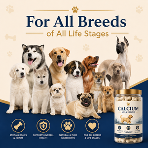 Natural Calcium Milk <b>Bone</b> Dog Treats for Strong <b>Bones</b> & Joints High Calcium Dental Chews for All Breeds OEM ODM Private Label - Product Image 5