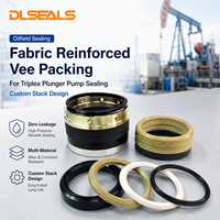 Kit de joints en cuir de vachette renforcé de tissu Dlseals Chevron Vee pour pompe à piston triplex de champ pétrolier sur mesure