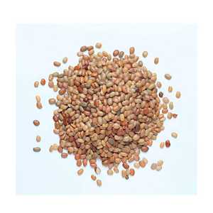 Kulthi Dal Kollu Ulavalu Kaanam Hurali Kalu, Semillas de Mijo de Caballo 100% Naturales y Orgánicas de Primera Calidad, Legumbres Secas Ricas en Proteínas - Product Image 1