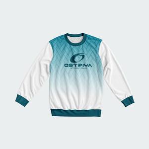 Sweat-shirt d'hiver pour homme à prix avantageux, vente en gros, 100% polyester, tissu léger et confortable, fabrication directe en usine - Product Image 1