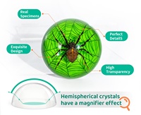 Spécimen de fleurs séchées en résine époxy transparente pour décoration.