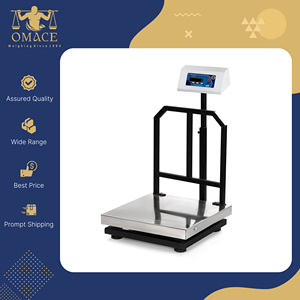 Báscula Digital ACE de Plataforma, Distribuidor Autorizado, 600x600mm, Acero Inoxidable, Capacidad de Carga 300Kg, Precisión 20/50g, 1 Año de Garantía - Product Image 2