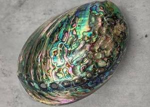 Vente directe d'usine, grandes coquilles d'ormeaux polies, naturelles, en stock, à bon prix - Product Image 1