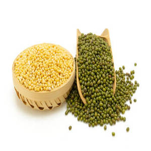 Aislado de proteína de moong a base de plantas de primera calidad para marcas de nutrición limpia que crean innovadores batidos veganos de proteínas en polvo - Product Image 5