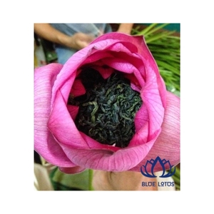 พร้อมส่ง ชาโลตัส ปี 2026 ใบชาคัดสรรคุณภาพ สำหรับเครื่องดื่มเพื่อความสดชื่น และใช้ในงานบริการ กลิ่นหอมละมุน บรรจุภัณฑ์ขนาดใหญ่ - Product Image 1