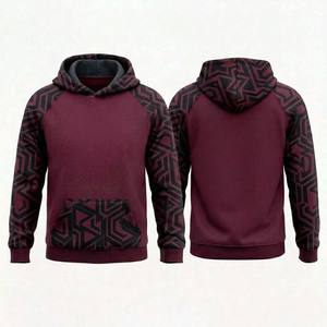 Hoodies pour femmes, hoodies pour hommes, hoodies en molleton biologique, hoodies écologiques, pull-over uni, pull-over sportif USA - Product Image 3