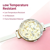 Lumière LED programmable à pixels RGB DMX SPI pour l'éclairage des façades de bâtiments et des paysages