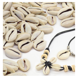 Conchas de Cauri para Joyería DIY y Manualidades con Soporte OEM y Suministro al por Mayor - Product Image 1