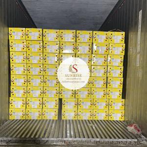 Vietnam Organique Dragon Fruit Frais Haute Qualité Sunrise Marque 0084372994741 Belle Export Meilleure Qualité Chair Blanche - Product Image 4