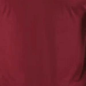เสื้อยืดแขนสั้น RICSA RI-743 คุณภาพสูงสำหรับผู้ชาย ทรงโอเวอร์ไซส์ ไหล่ตก ระบายอากาศได้ดี แห้งเร็ว ผ้าฝ้าย 100% ลายเรียบ - Product Image 3