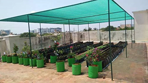 Green Shade Net Garden Canopy Plant Cover Sunshade <b>Screen</b> for Potted Plants Outdoor <b>Patio</b> - Product Image 6