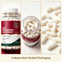 Capsules Énergétiques Probiotiques OEM Formule 10-en-1 Gestion Intestinale Adulte 90 Capsules/Flacon Services Marque Blanche Fournisseur Or
