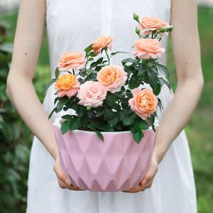 Jardinière suspendue auto-arrosante en résine résistante aux UV GT36 avec réservoir interne et <span class=keywords><strong>suspension</strong></span> à chaîne, <span class=keywords><strong>pot</strong></span> de fleurs en plastique - Product Image 6