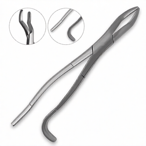 Pinzas de Extracción de Dientes de Lobo Equinos de 11 Pulgadas con Mango de Gancho, Instrumento Veterinario para Odontología Equina y Extracción de Dientes - Product Image 1