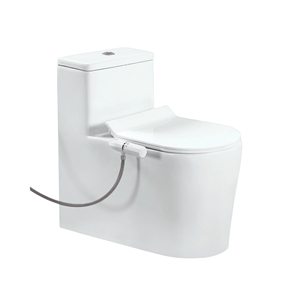 WC monobloc moderne Rolls Pro sans bride, cuvette allongée, double chasse, chasse à jet siphonique, siphon en S, siphon en P, à poser au sol, en céramique - Product Image 1