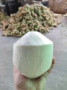 Pedidos al por Mayor con Precio Competitivo, Bebida Refrescante de Coco Diamante de Primera Calidad, Origen Vietnam - Product Image 5