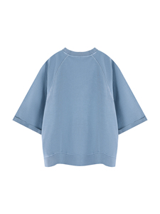 T-shirt Raglan Homme Col Rond Manches Courtes Coupe Oversize Décontracté Tricoté Uni Bleu Clair 100% Coton Jersey Anti-rétrécissement 220g - Product Image 6