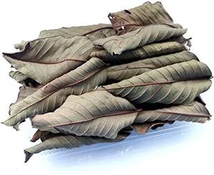 Hojas de guayaba secas en Vietnam: alta calidad y precio competitivo - Product Image 4