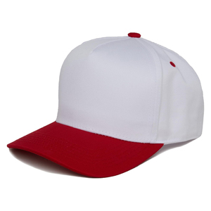 Gorra de Béisbol de 6 Paneles Azul Claro, Unisex, Casual, de Color Sólido, Ajustada, de Hilo de Algodón - Product Image 5