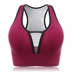 Soutien-gorge de sport sans couture pour femme, dernière conception, prix abordable, vente en gros, qualité supérieure, pour l'entraînement - Product Image 2