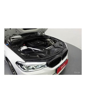 BMW Serie 5 520d M Sport Plus 2019, 88,225 km, Diésel, Caja de Cambios Automática, Volante a la Izquierda, Asientos de Cuero, Cámara Trasera - Product Image 6