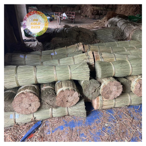 เส้นใยหญ้าทะเลดิบ 99 โกลด์ ดาต้า เวียดนาม สำหรับโรงงานผลิตเฟอร์นิเจอร์และของตกแต่งบ้าน ขายส่ง - CARYLN - Product Image 3