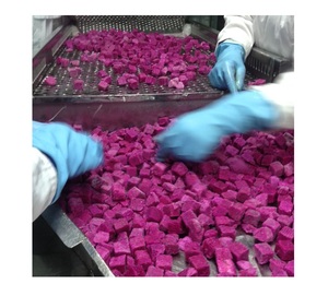 Vietnam Frozen Dragon Fruit Cubes Natural Red Pitaya for Dessert, Beverage and <b>Ice</b> <b>Cream</b> <b>Makers</b> - Product Image 2