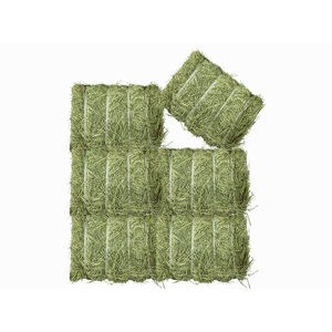 Prix d'usine pour le foin d'alfalfa disponible pour les grossistes en aliments pour animaux et les entreprises agricoles - Product Image 1