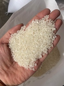 Riz de sushi japonica du Mékong du Sud, haute qualité, conforme aux normes UE, à grains courts, texture moelleuse, blanc, séché, nouvelle récolte, 5% de brisures, 2 ans, 14% - Product Image 4