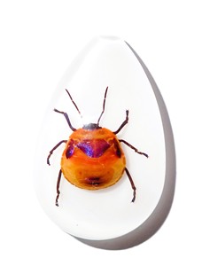 Cabujón de Plástico con Espécimen Real de Insecto Floral, Corte Pera, Parte Superior de 46x30 mm, Base Plana Blanca para Manualidades y Joyería - Product Image 5