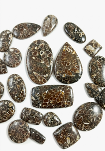 Venta al por Mayor de Cabujones de Ágata Turritella Únicos, en Forma de Pera Ovalada, Pulidos y Lisos, Ideales para la Fabricación de Joyería - Product Image 5