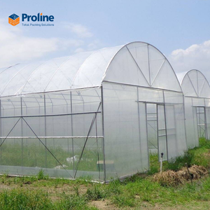 Película para Invernadero Agrícola Multi-Span, Doble Capa, Gran Tamaño, PE Resistente a los Rayos UV, Larga Vida Útil, Precio de Fábrica, Proline - Product Image 3