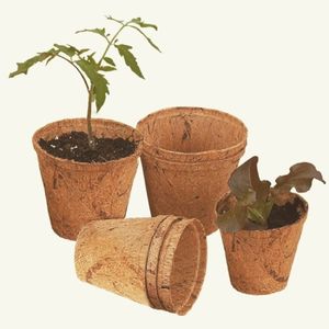 Maceta de Fibra de Coco EcoGrow – Contenedor de Fibra Natural para Jardinería Orgánica - Product Image 5