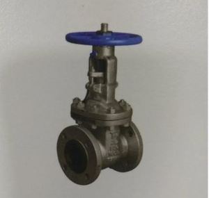 Vanne à lame coulissante en fonte pour les industries de la pâte à papier et du recyclage, et l'exploitation minière et la transformation des minerais - Product Image 1