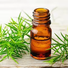 Aceite Esencial de Árbol de Té de Calidad para Exportación a Granel, Grado Cosmético, para el Cuidado del Cabello y Tratamiento del Cuero Cabelludo para Hombres y Mujeres - Product Image 5