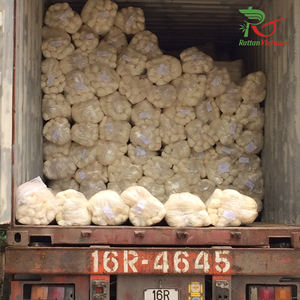 Rattan Core 1.5mm <b>Bleached</b> OEM Natural Rattan Garden Furniture Handicraft Rattan Raw Material Made In Vietnam - Product Image 5