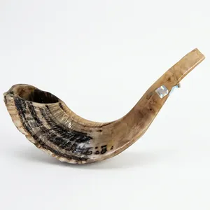 <b>Buffalo</b> <b>Horn</b> Natural Shape Polished Rustic Craft Home Decoration Animal Theme Durable Handmade <b>Horn</b> - Product Image 3
