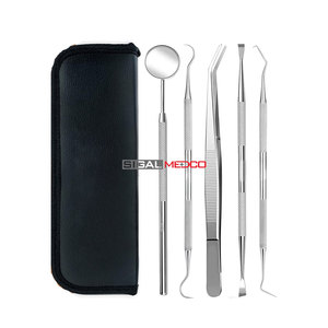 Removedor de Placa Dental Profesional, Juego de 5 Piezas, Manual, Acero Inoxidable, Agarre Ergonómico, Kit de Limpieza Dental y Reparación de Rellenos Dentales - Product Image 1