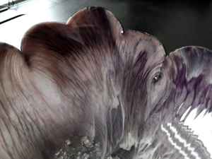 Cuenco de Resina Hecho a Mano, Arte Abstracto Único en Epoxi, Decoración para el Hogar, Adorno de Mesa, Regalo para Ella - Product Image 6