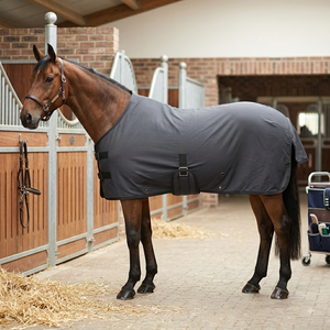 Tapis d'été pour chevaux Meilleur tissu uni extensible avec bande grise Webbink pour le ventre par temps chaud - Product Image 3