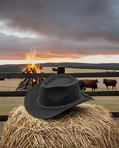 Sombrero de Cuero Genuino, Estilo Clásico, Ala Corta, Elegante, para Vestir, Venta al por Mayor en EE. UU. y Europa, Prenda de Moda - Product Image 6