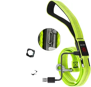 Hot Sellinglight Up Honden Leash, Usb Oplaadbare Gloeiende Led Hond Riemen, Nylon Knipperende Huisdier Riem Voor Nachtelijke Wandelen