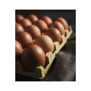 Huevos de Gallina Marrones de Grado A, Suministro de Alimentos al por Mayor de Primera Calidad - Product Image 2