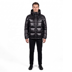 Chaqueta de Invierno Acolchada Ligera para Hombre con Cuello Alto y Capucha, Logotipo Personalizado, Alta Calidad, Logotipo Frontal, Venta al Por Mayor OEM - Product Image 1