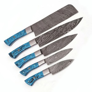 Juego de Cuchillos de Chef de Acero de Damasco Hechos a Mano con Mangos de Resina Epoxi - Juego de Cocina de 5 Piezas OEM - Product Image 1