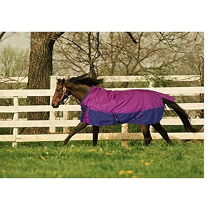 Couverture de cheval de qualité supérieure toutes saisons, imperméable, en tissu Oxford, pour l'extérieur et l'écurie - Product Image 3