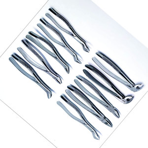 Kit chirurgical de forceps d'extraction dentaire en acier inoxydable, 10 pièces, pour molaires supérieures et inférieures, prémolaires et extraction de racines, Pakistan - Product Image 4