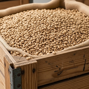 Grains de café Arabica de spécialité, arôme riche, grains de café verts pour torréfacteurs, cafés et commerce international - Product Image 6