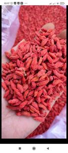 Baies de Goji Séchées Biologiques Premium Entières, Mélange de Thé aux Herbes de Goji, Ingrédient Alimentaire en Gros - Product Image 1